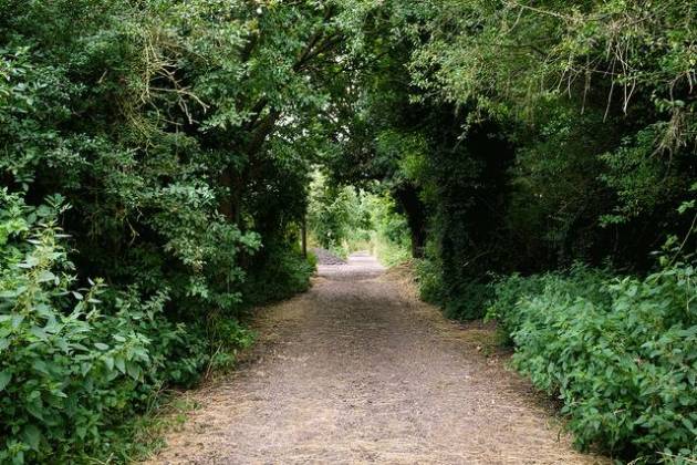 Photo by Justin Otto